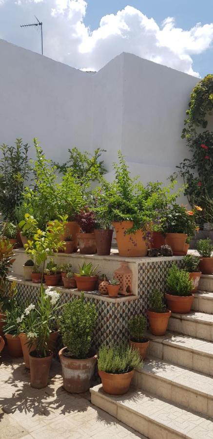 Casa Rural Los Danzantes Fuente-Tojar Ngoại thất bức ảnh