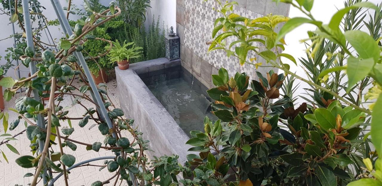 Casa Rural Los Danzantes Fuente-Tojar Ngoại thất bức ảnh