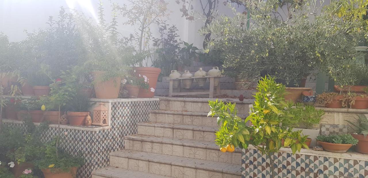 Casa Rural Los Danzantes Fuente-Tojar Ngoại thất bức ảnh